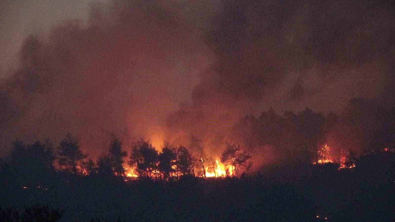 canakkale valiligi uyardi ormana girisler yasaklandi 5