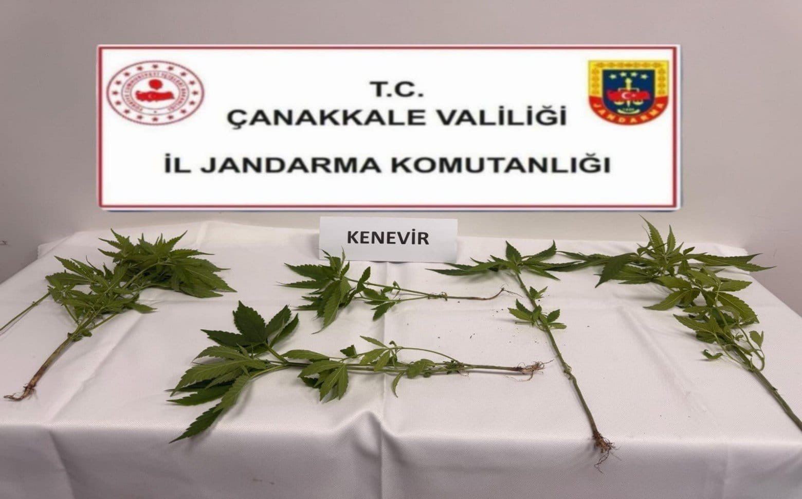 Çanakkale ve 5 ilçede uyuşturucu operasyonlarında 15 gözaltı 6 canakkale ve 5 ilcede uyusturucu operasyonlarinda 15 gozalti 2 KzFjEGvs