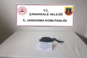 Ayvalık’ta denizde kaybolan genci arama çalışmaları aralıksız sürüyor 2 thumbnail