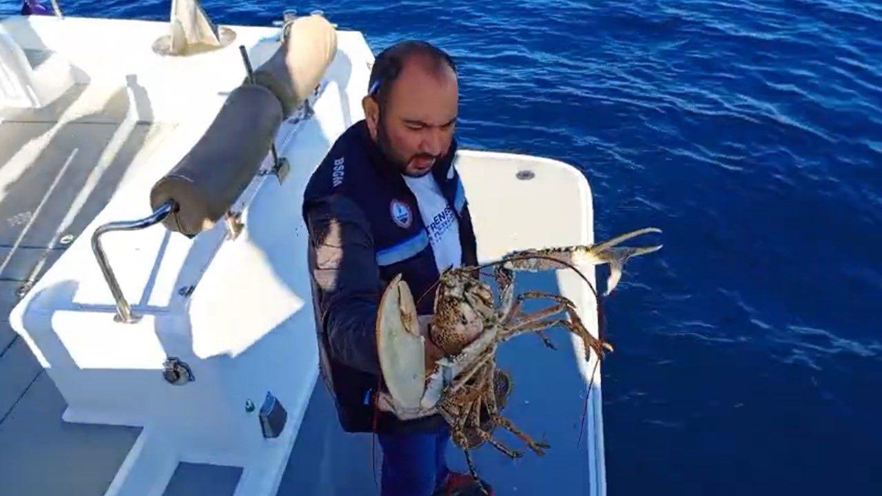 canakkalede 525 kilo baliga el konuldu 4 RY95vUWm