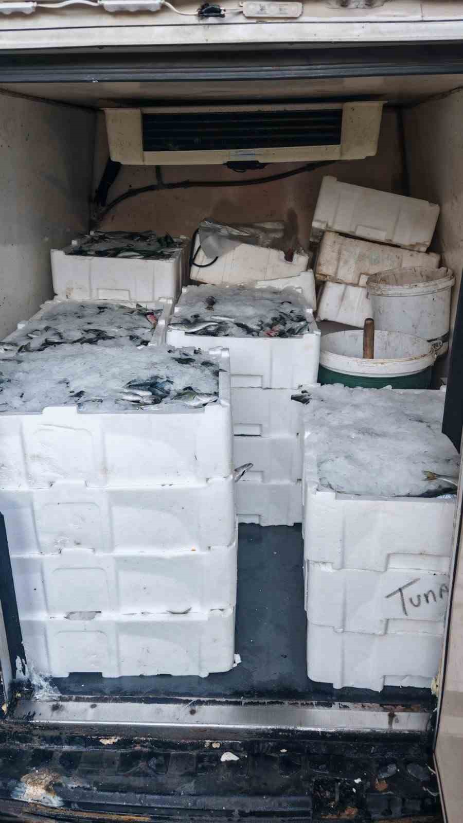 canakkalede 525 kilo baliga el konuldu 6 be66p1aC