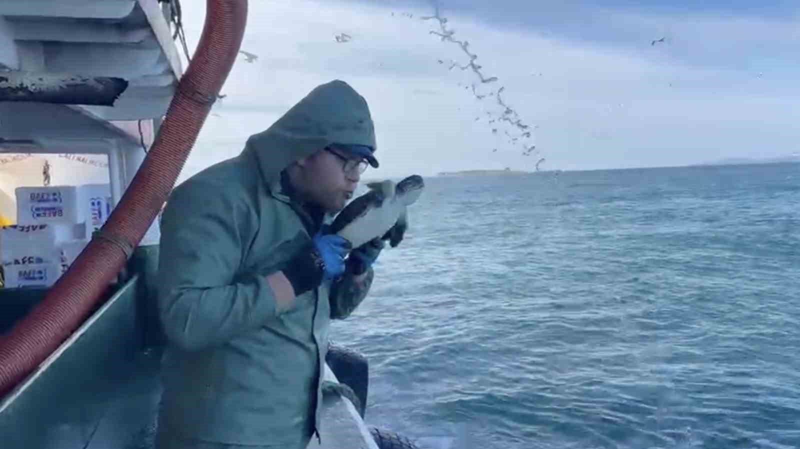 canakkalede balikcilar aglarina takilan caretta carettayi kurtardilar 0 Sg6hLlmy