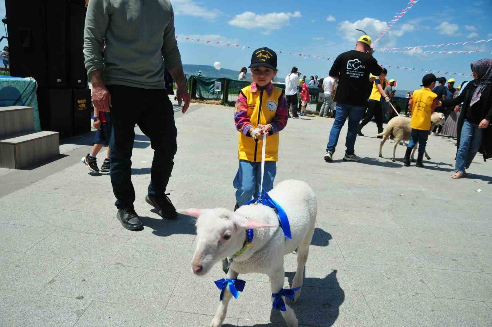 canakkalede bogazin minik cobanlari yarismasi 3 kCjpMykK