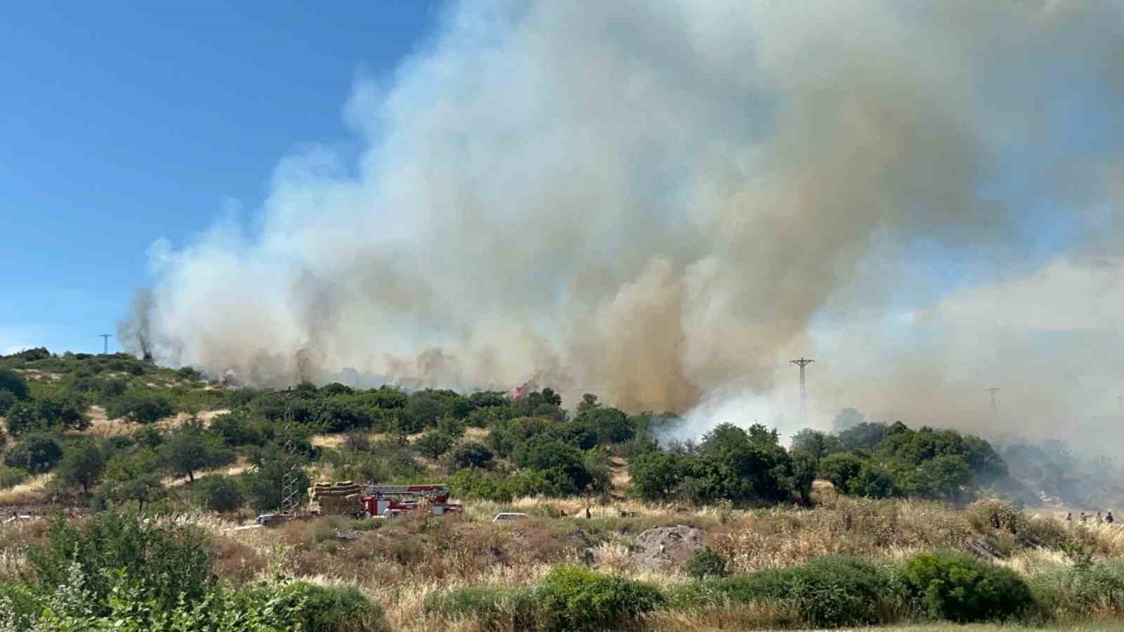 Çanakkale’de bozuk orman sahasında yangın 6 canakkalede bozuk orman sahasinda yangin 2 n9eNGAlJ