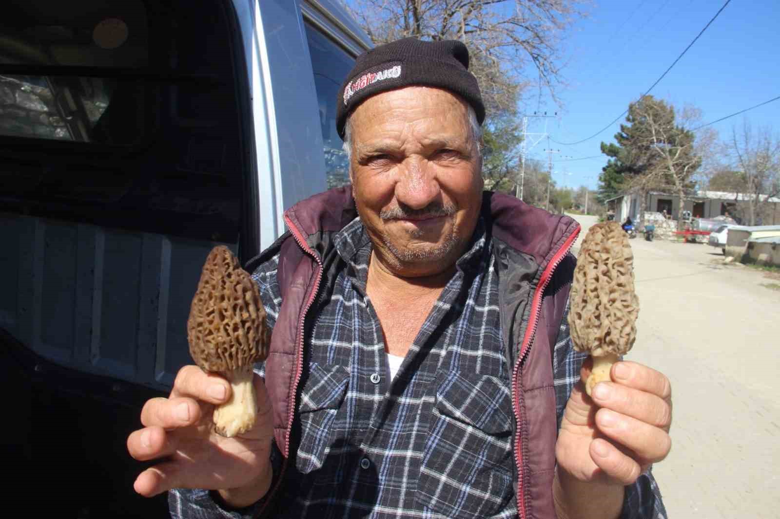 canakkalede dag koylerinde kuzugobegi gelir kapisi oldu 1 LEryXLII