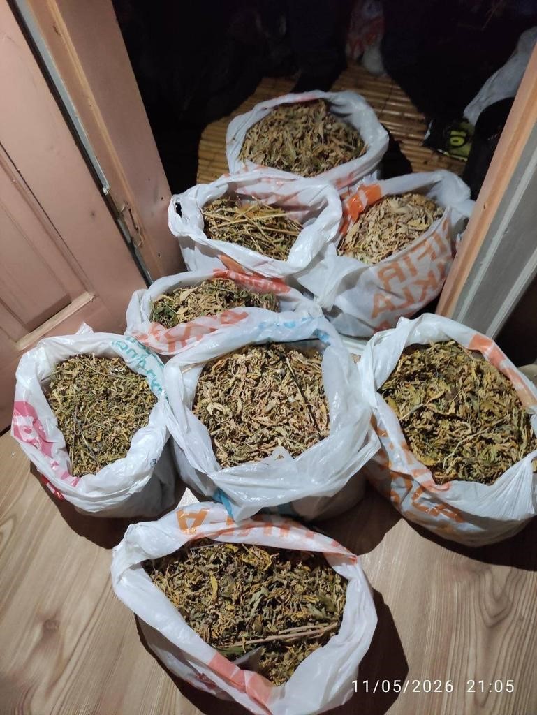 canakkalede evinde uyusturucu yetistiren 2 kisi yakalandi 2 hU7dnMpl