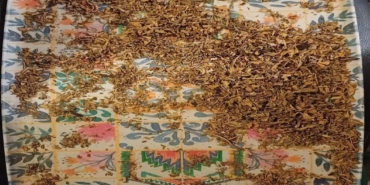 canakkalede-evinde-uyusturucu-yetistiren-2-kisi-yakalandi-S9cZKFrZ.jpg