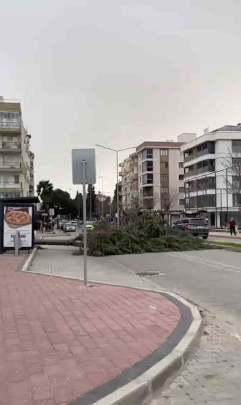 canakkalede firtina agaclari devirdi 3