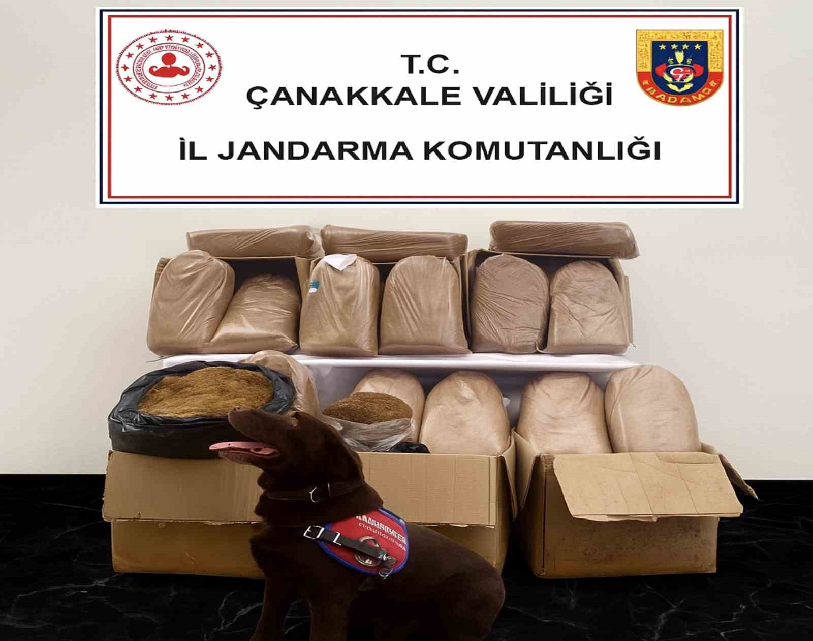 canakkalede kacakcilik operasyonu 0