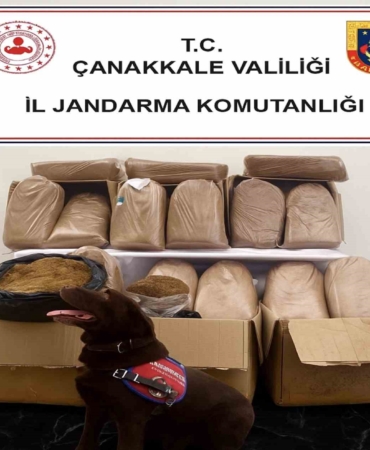 canakkalede-kacakcilik-operasyonu-VEdDWmy2.jpg