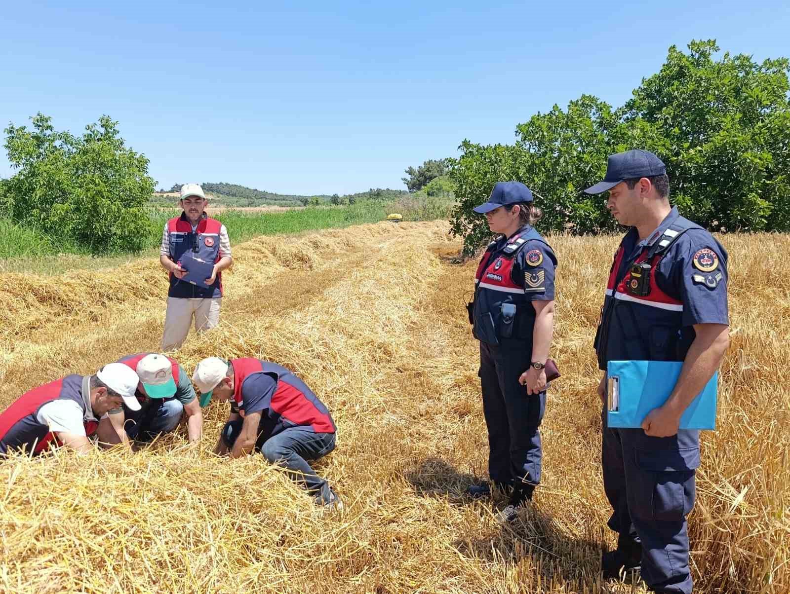 Çanakkale’de orman yangınlarına karşı biçerdöver denetimi yapıldı 5 canakkalede orman yanginlarina karsi bicerdover denetimi yapildi 1 ejB3kY2D