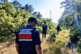 Araçların motoruna giren kedi, itfaiyeyi seferber etti 1 thumbnail