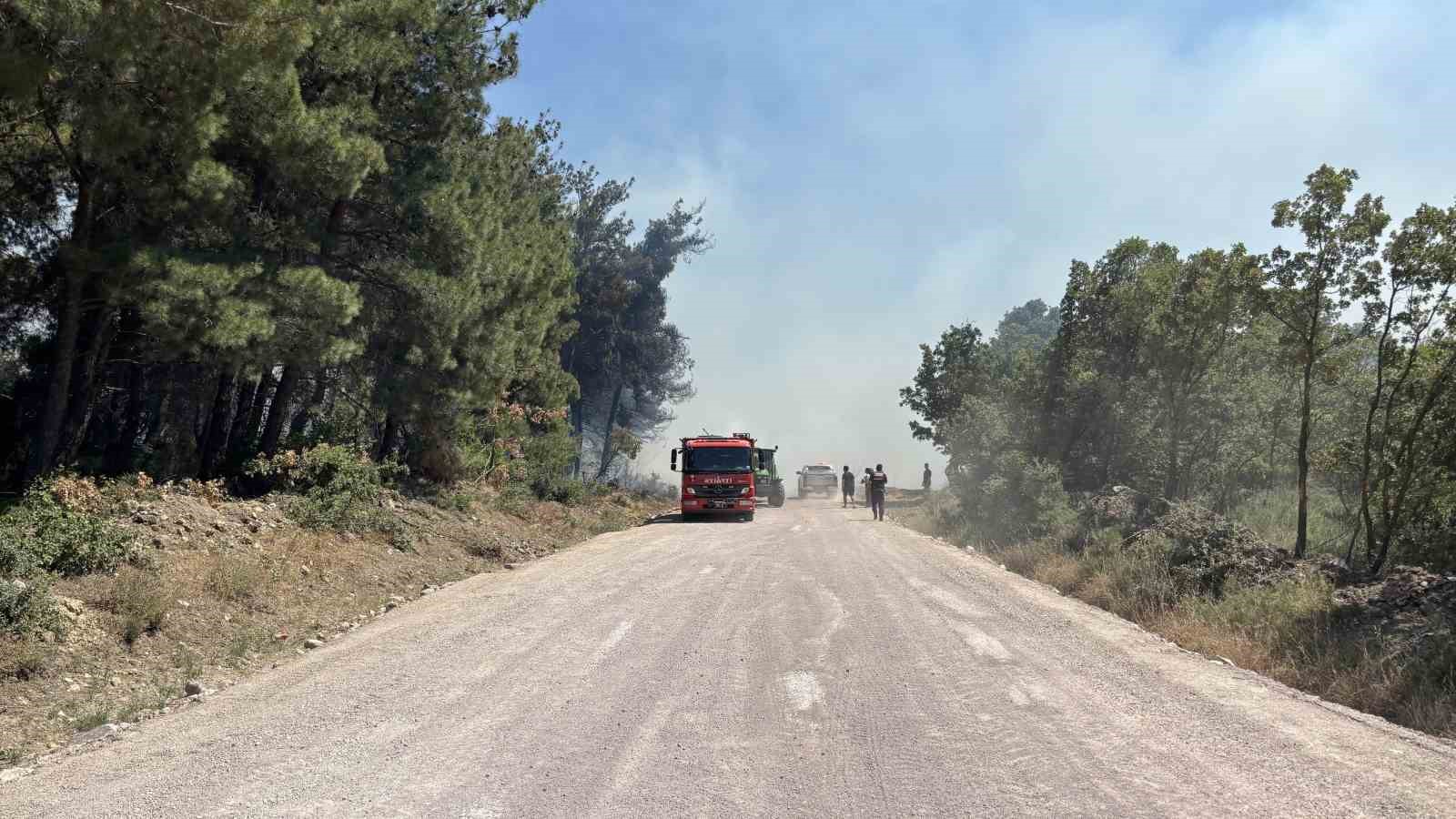 canakkalede tarim arazisinde yangin 1