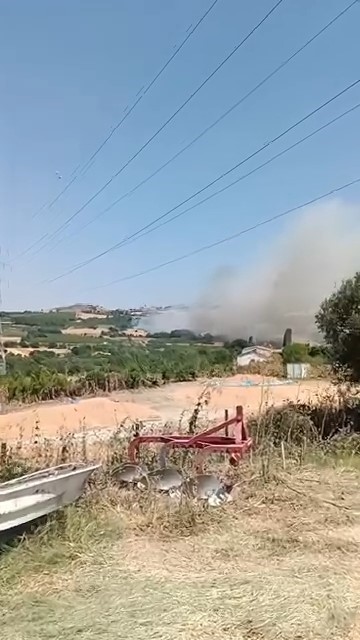 canakkalede tarim arazisinde yangin 6 PE4BZnjN