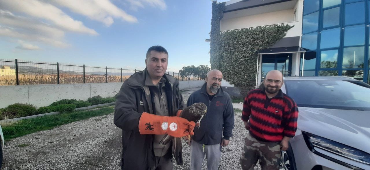 canakkalede yarali sahin koruma altina alindi 1 yI5GYLde