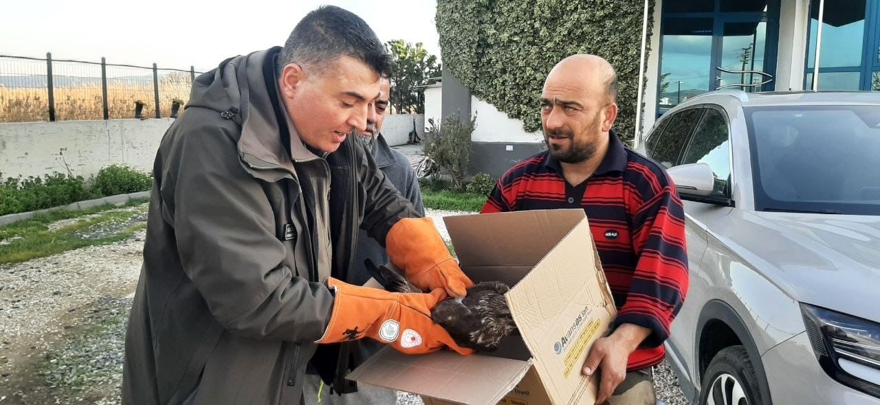 canakkalede yarali sahin koruma altina alindi 2 iUJwMcjj