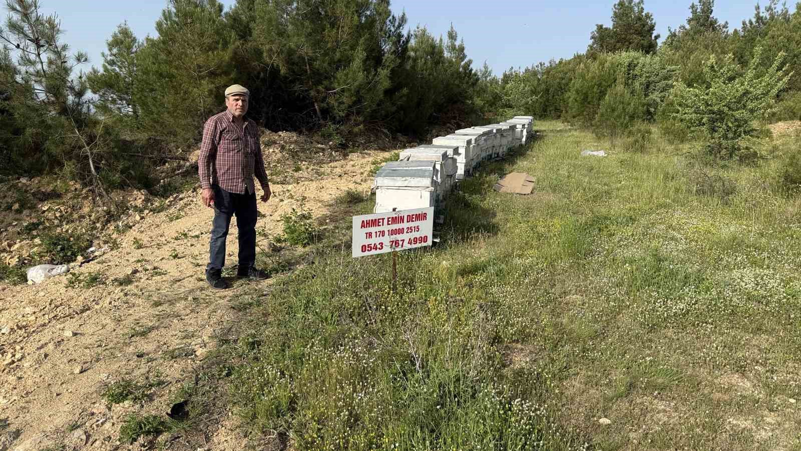 canakkalede yavru ari bollugu ari ureticilerinin yuzunu guldurdu 5 UAjmlsaf