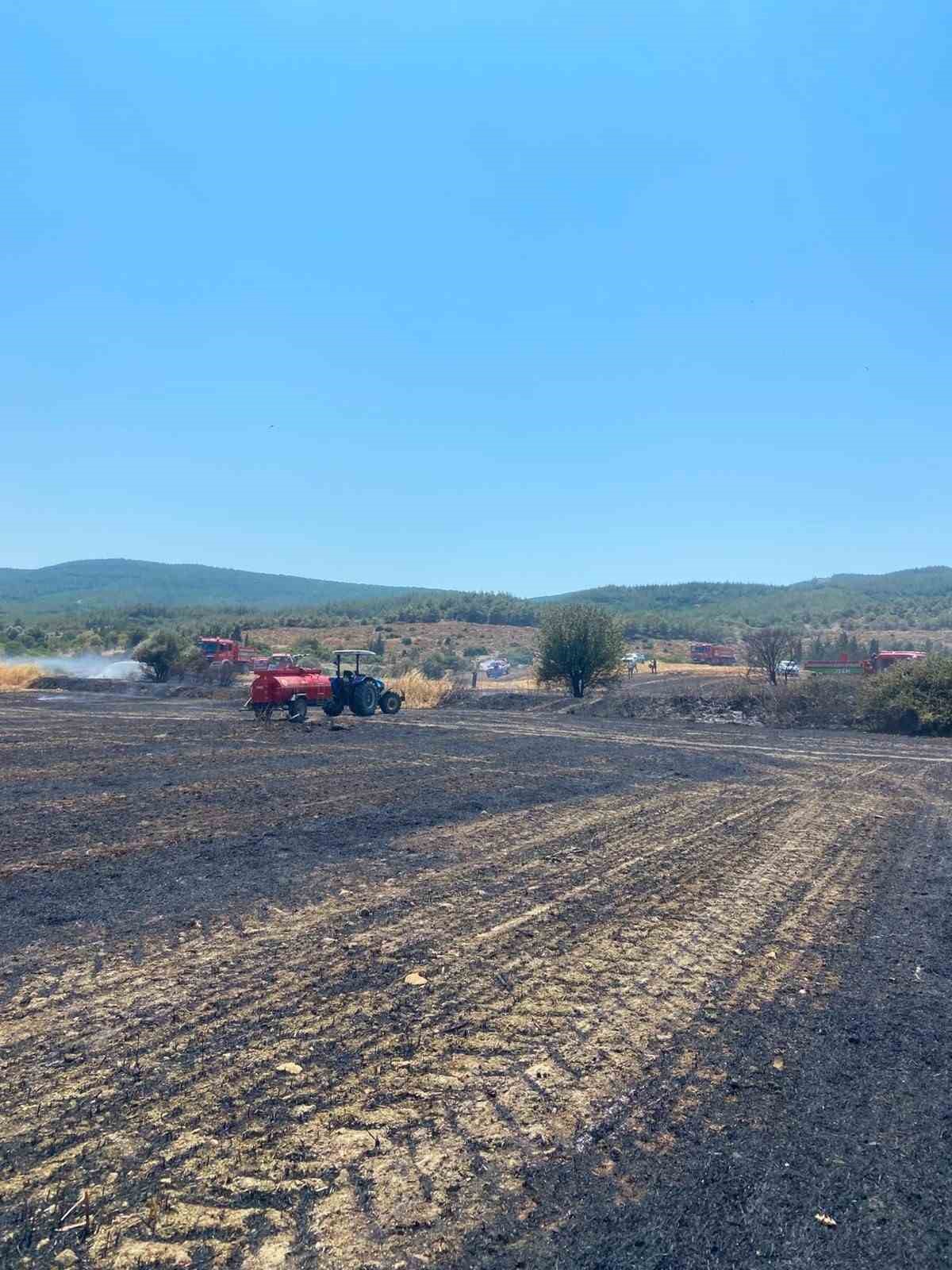 Çanakkale’deki yangında 10 dönüm tarım arazisi zarar gördü 4 canakkaledeki yanginda 10 donum tarim arazisi zarar gordu 0 uRPiVty6