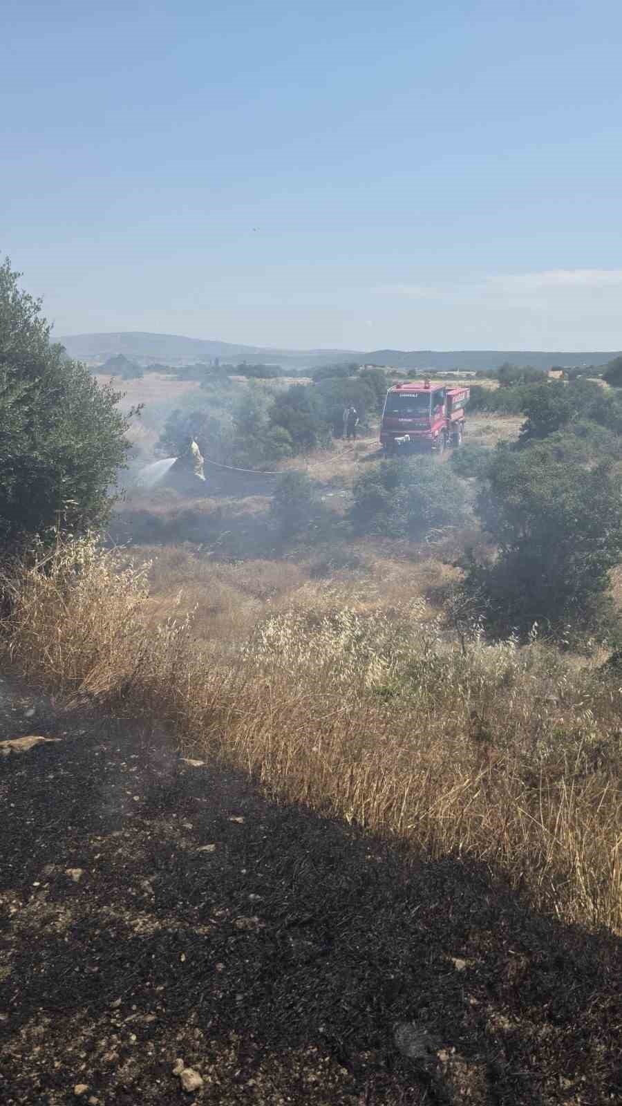 Çanakkale’deki yangında 10 dönüm tarım arazisi zarar gördü 6 canakkaledeki yanginda 10 donum tarim arazisi zarar gordu 2 aVpe31Gi