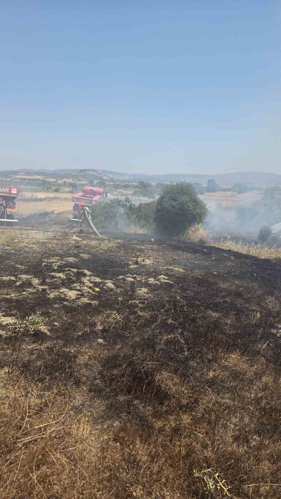 Çanakkale’deki yangında 10 dönüm tarım arazisi zarar gördü 7 canakkaledeki yanginda 10 donum tarim arazisi zarar gordu 3