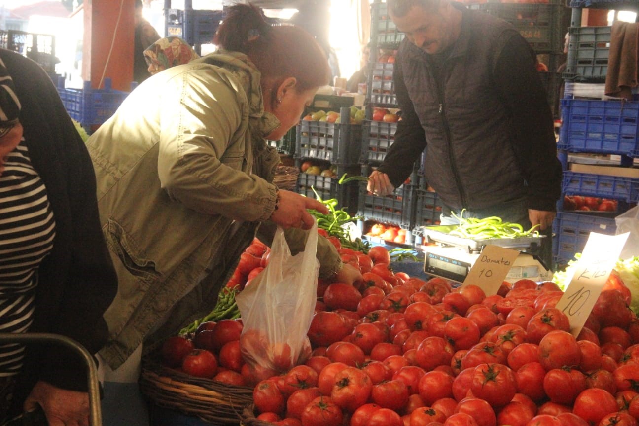 canakkalenin meshur domatesi tezgahlarda 40 liradan 10 liraya kadar dustu 2