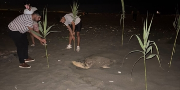caretta-carettayi-yuva-yaparken-goren-gencler-duyarlilik-gosterdi-onlem-aldi-bqFOg1Nz.jpg