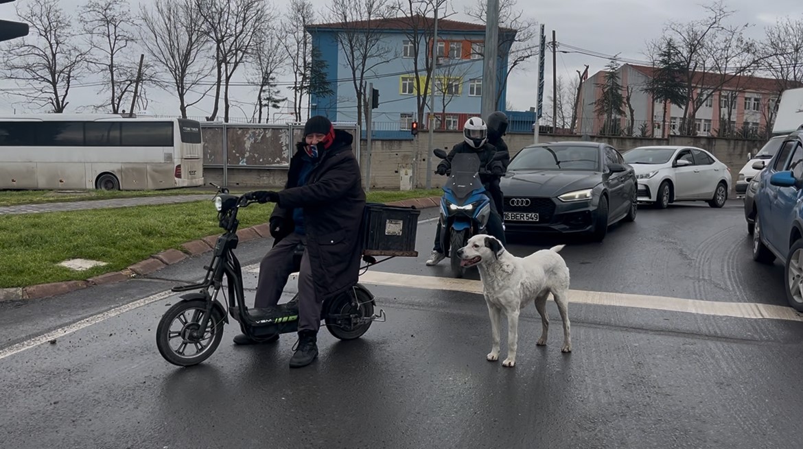 carsi pazar pesinden ayrilmiyor 3 tT26fJQI