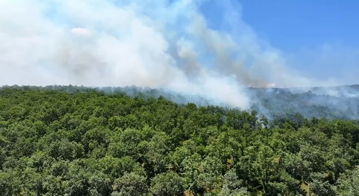 Çatalca Ormanlı’da orman yangını havadan ve karadan müdahaleyle söndürüldü 4 catalca ormanlida orman yangini havadan ve karadan mudahaleyle sonduruldu 0 cOp6avlg