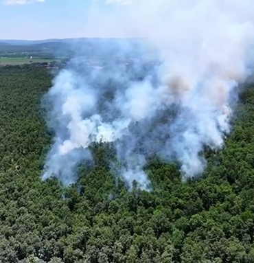 catalca-ormanlida-orman-yangini-havadan-ve-karadan-mudahaleyle-sonduruldu-Lph1aHgK.jpg