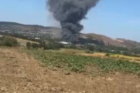 Sakarya’da horoz dövüşü operasyonu 1 thumbnail