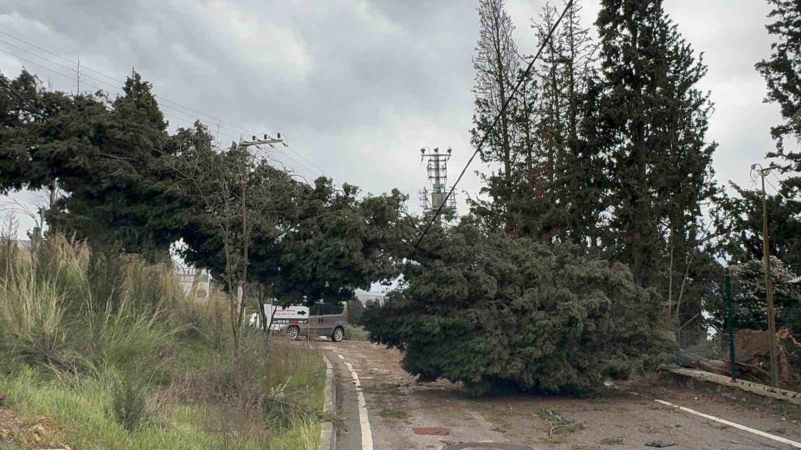 catidan kopan kereste seyir halindeki otobuse saplandi 1 wCUlFI7c