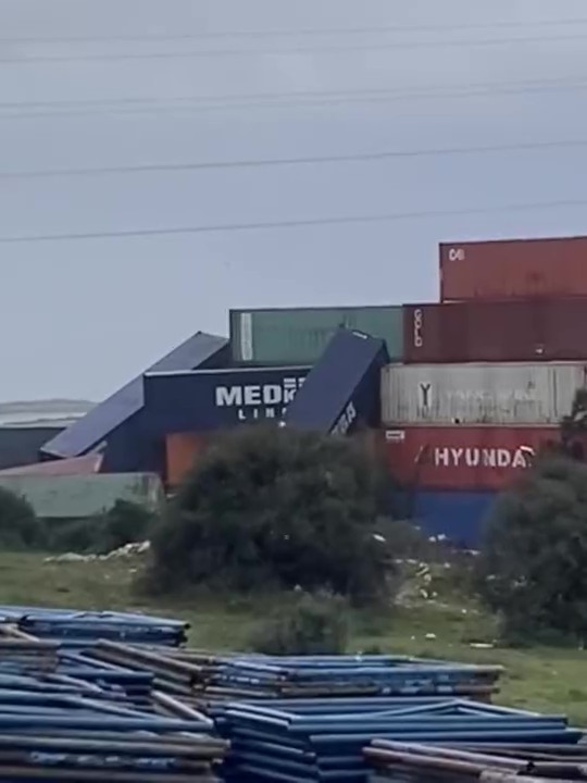 catidan kopan kereste seyir halindeki otobuse saplandi 12 vPLpEnMy