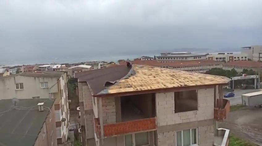 catidan kopan kereste seyir halindeki otobuse saplandi 2 K77MaGmA