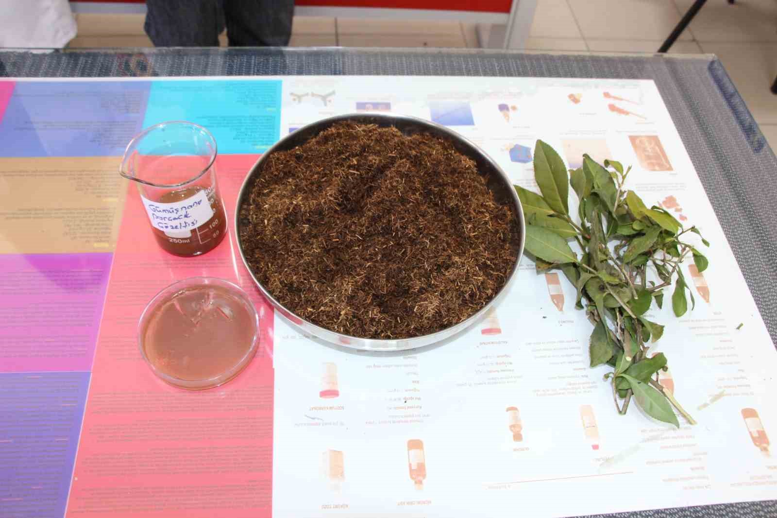 cay atigindan antibakteriyel urun gelistirdiler 2 zMi5YBn3