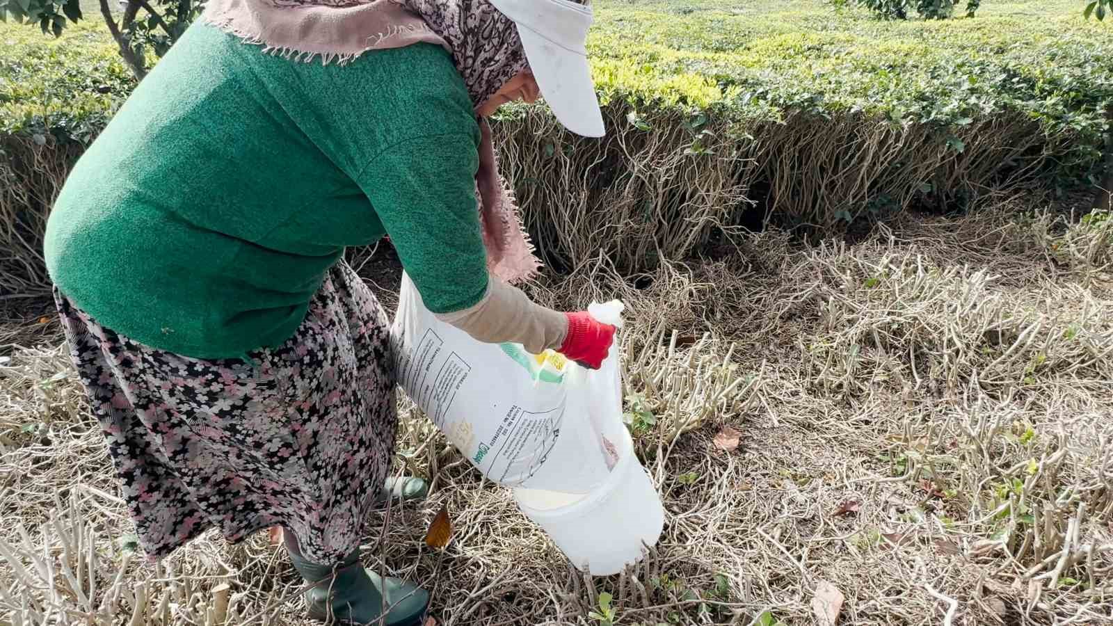 cay ureticileri yeni sezona hazirlaniyor 2 AkutNXwU