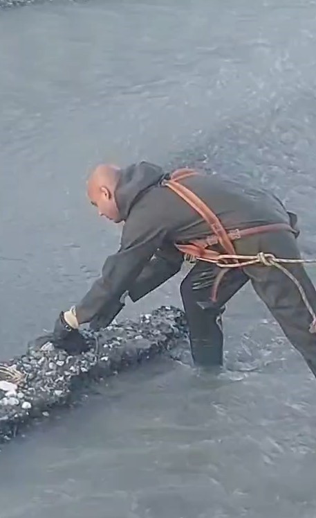 caya dusen yavru kediyi turhal itfaiye ekipleri kurtardi 1 Z3NKVaG8
