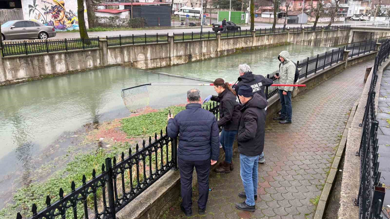 cayda korkutan goruntu yuzeye cikan baliklar oluyor 5 RZvAScqa