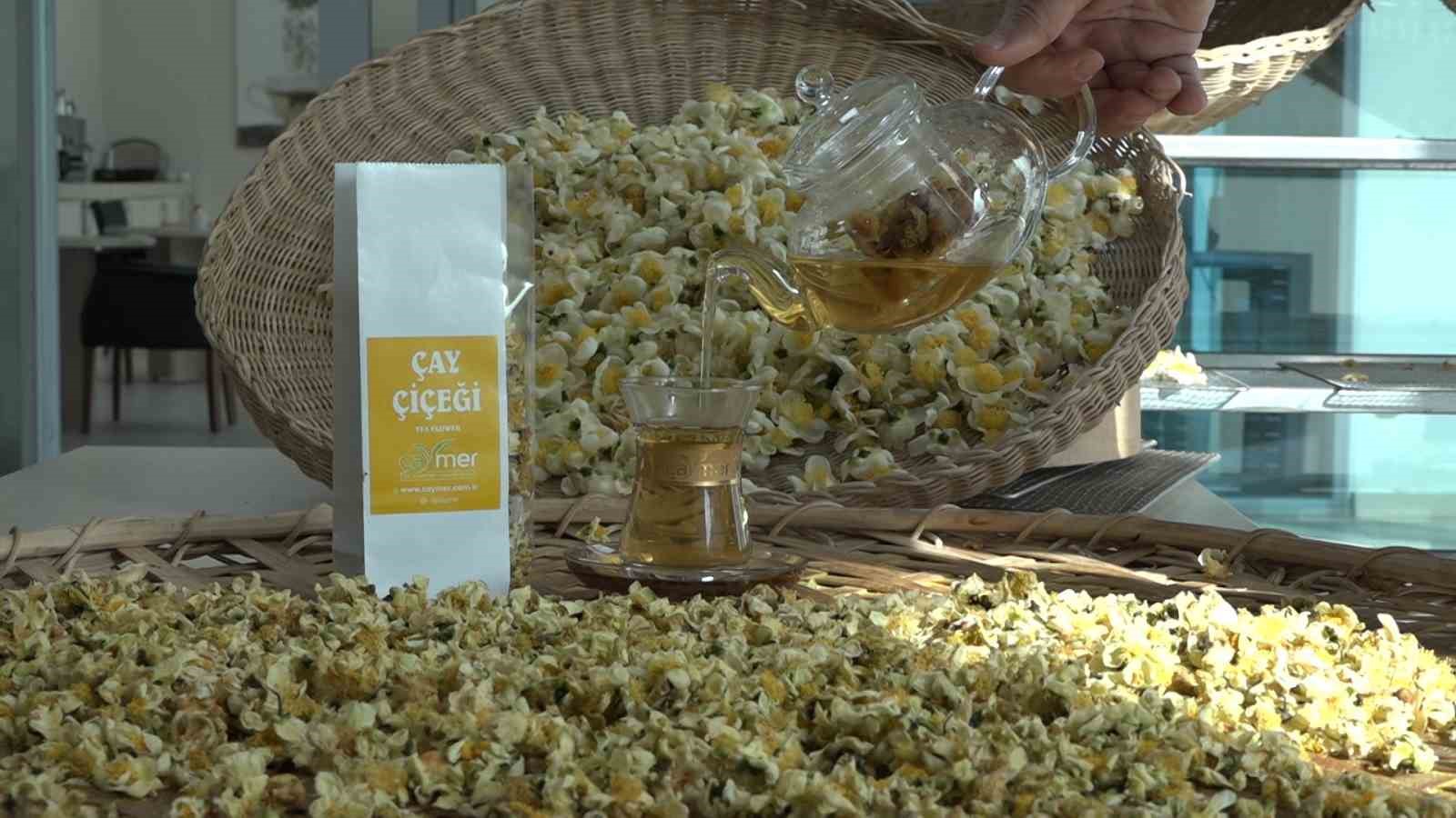 cayin yeni urunu cay cicegi cayi 6 bin tlden satiliyor 0 5umXO1rf
