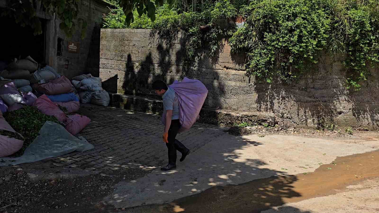 caykur sezonun ilk gununde 900 ton cay aldi 1 y7LQadUk