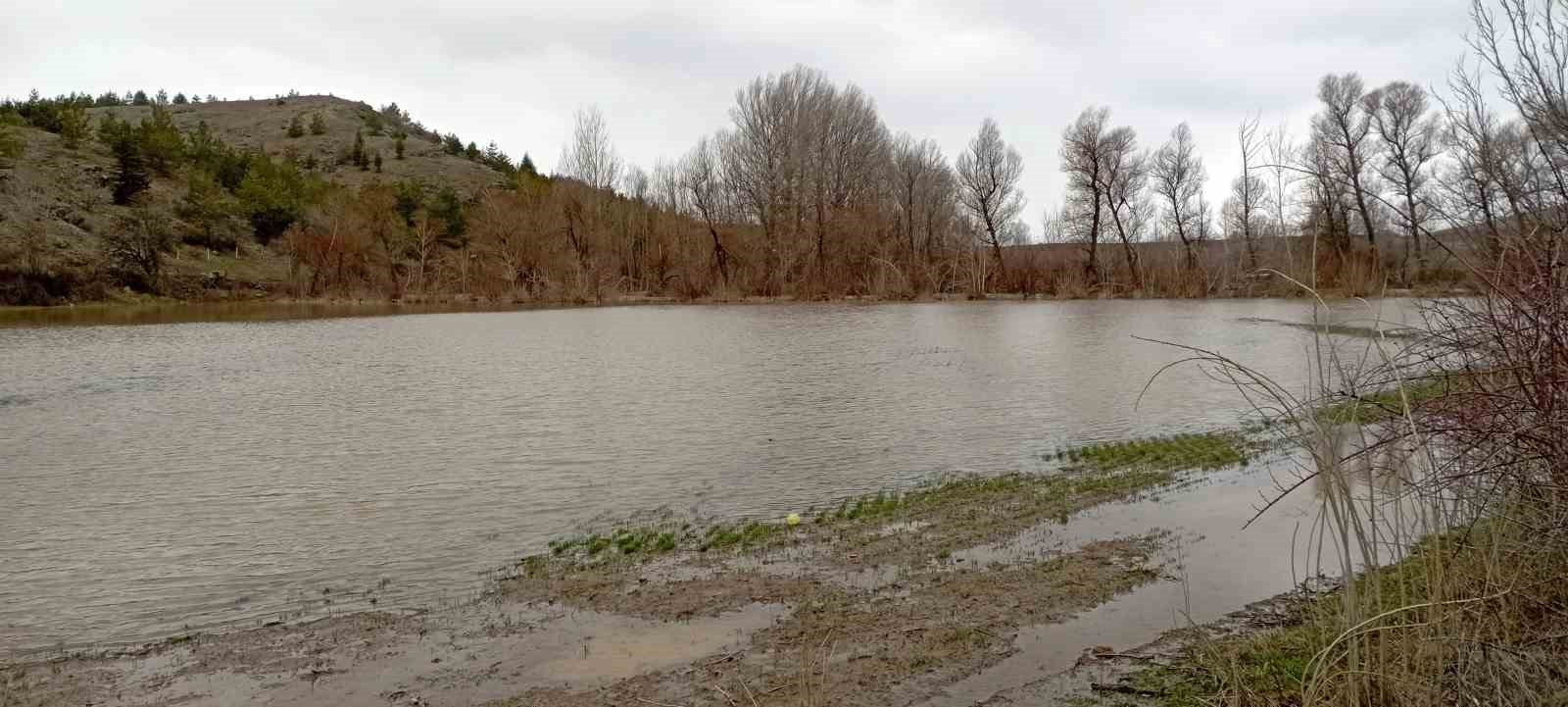 cekerek irmagi tasti yollar ve tarlalar sular altinda kaldi 1 b7LKINih