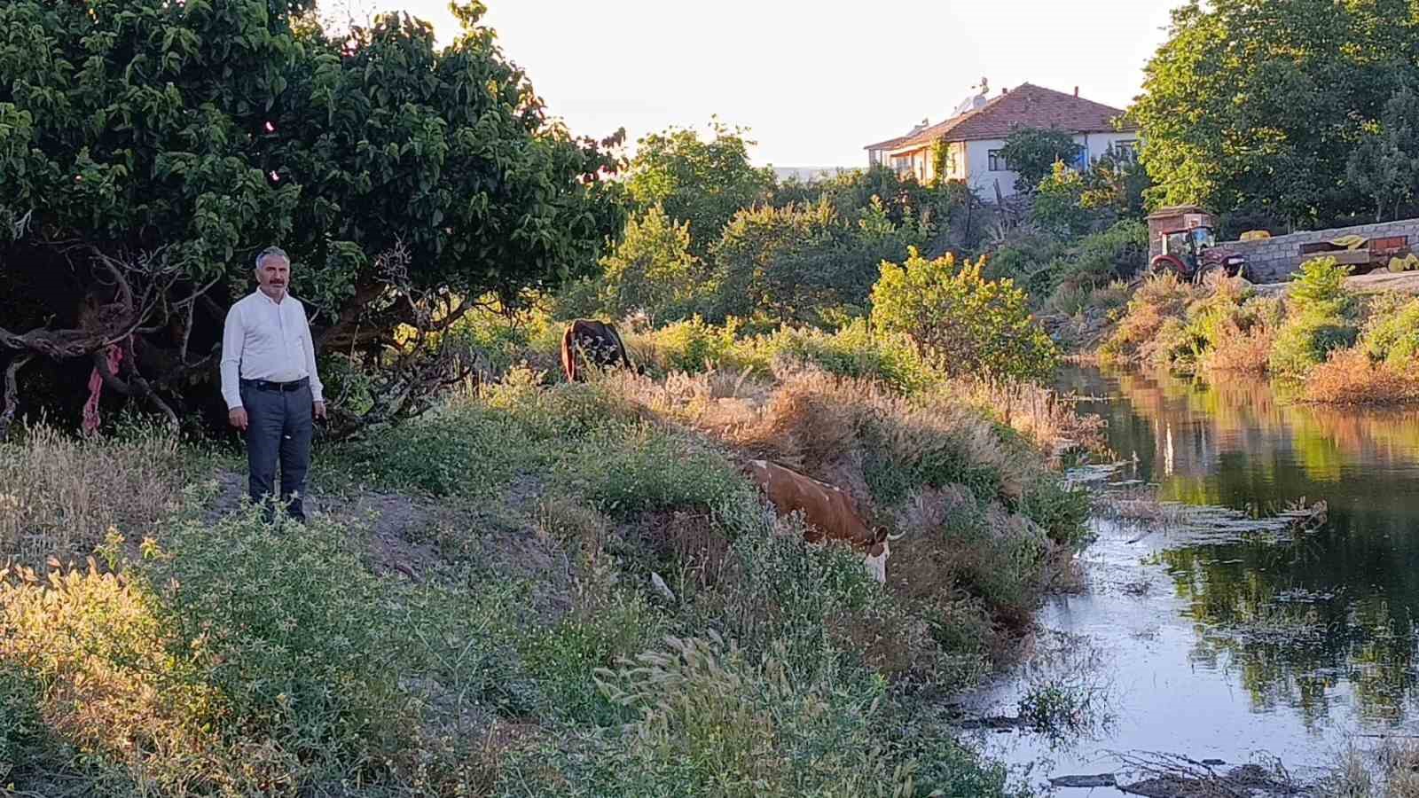 cekerek sureyya bey barajinda dolluk orani yuzde 100un uzerine ciktigi icin koyu yilanlar basti X4dMBSTr
