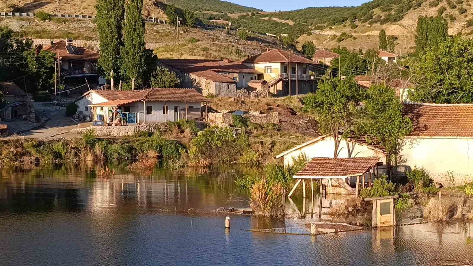 cekerek sureyya bey barajinda dolluk orani yuzde 100un uzerine ciktigi icin koyu yilanlar basti