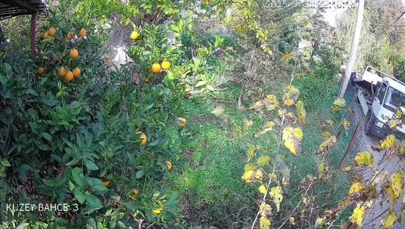 cekiciye yuklenirken geri viteste unutulan arac rampadan uctu 2 yarali 7 u8WTVX7D