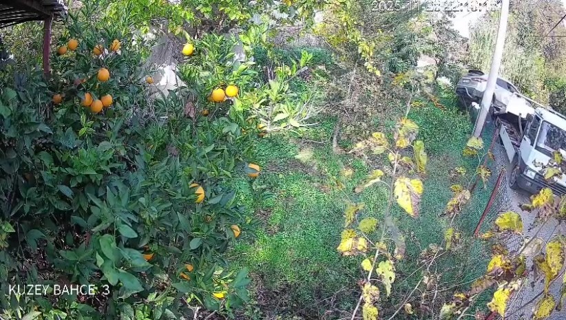 cekiciye yuklenirken geri viteste unutulan arac rampadan uctu 2 yarali 9