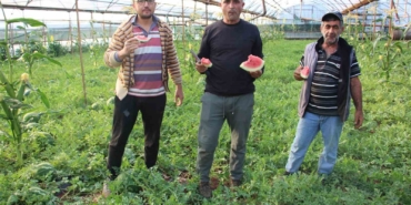cekirdek-karpuzun-hasadi-basladi-3-ayda-hasat-ediliyor-1-ayda-tukeniyor-kN9DderO.jpg