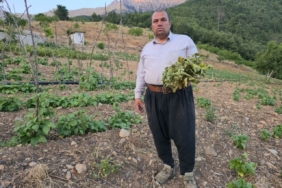 Şırnak’ta çığ düşen yolu açmak için ekipler seferber oluyor 1 thumbnail