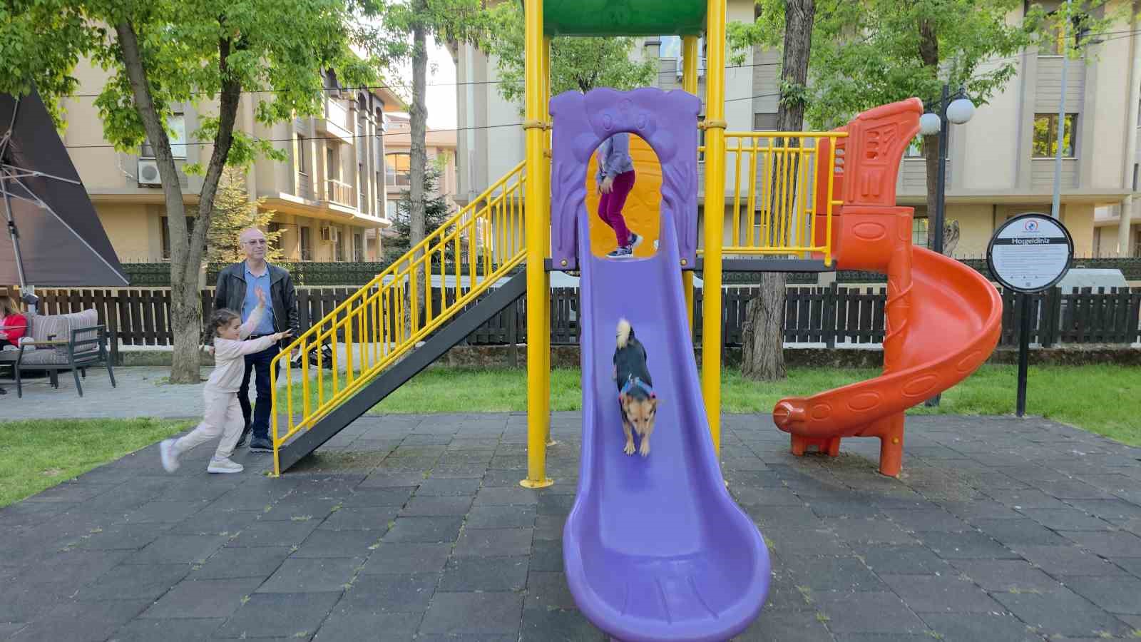 cekunun park keyfi kaydiraktan kayiyor cocuklarla oynuyor 1
