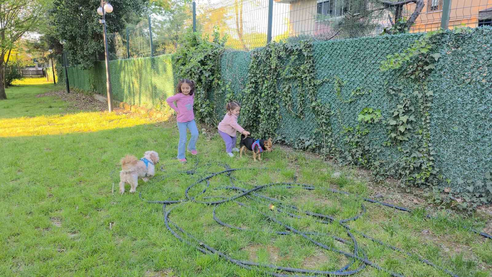 cekunun park keyfi kaydiraktan kayiyor cocuklarla oynuyor 4