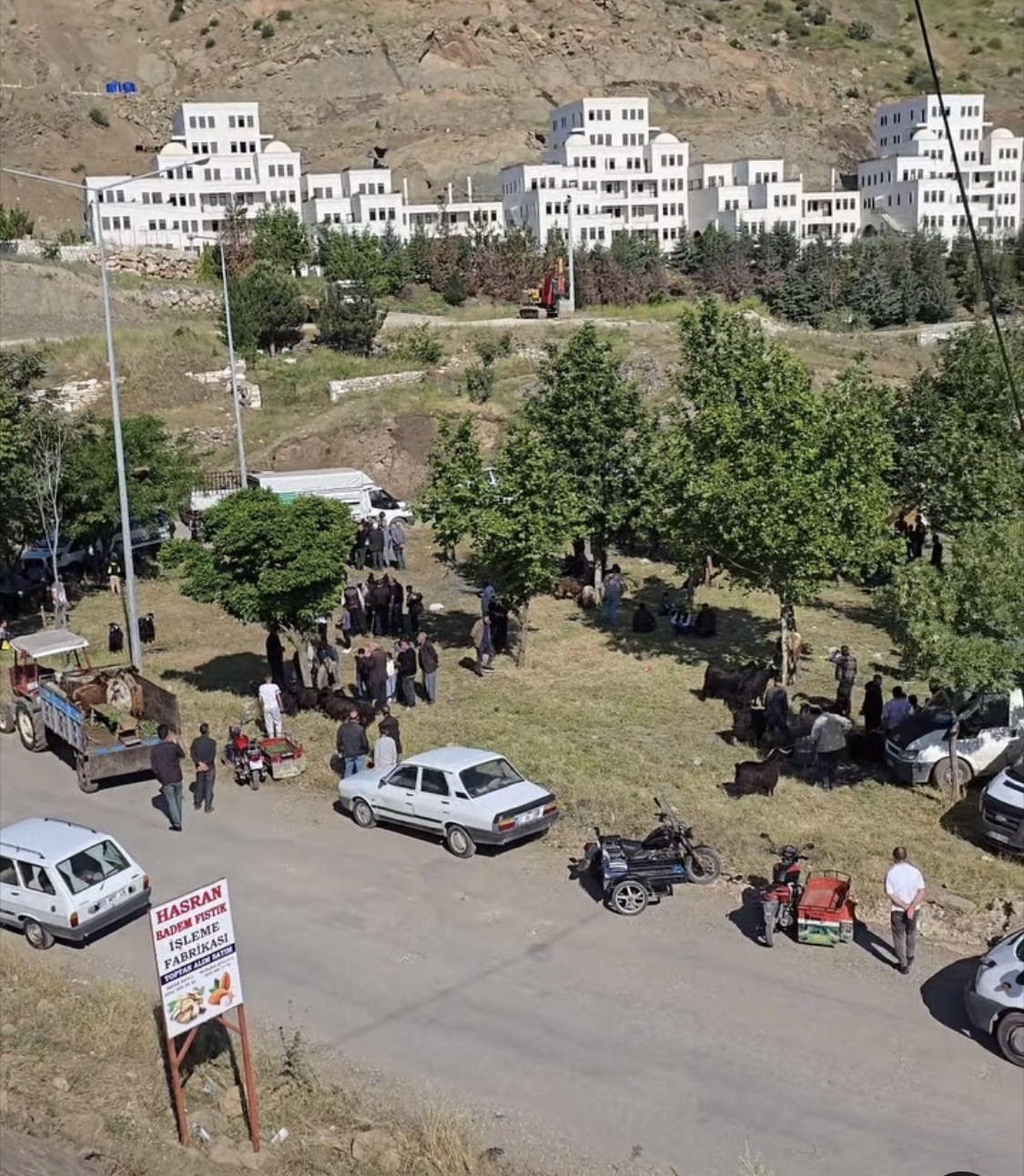 cermikte tarihi kopru yaninda hayvan pazari kuruldu 3 7C6V5YSe