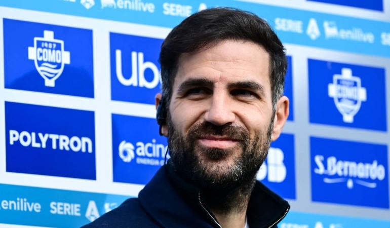 cesc-fabregas_1314138Photogallery